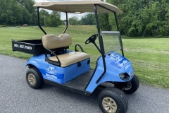 golf-cart