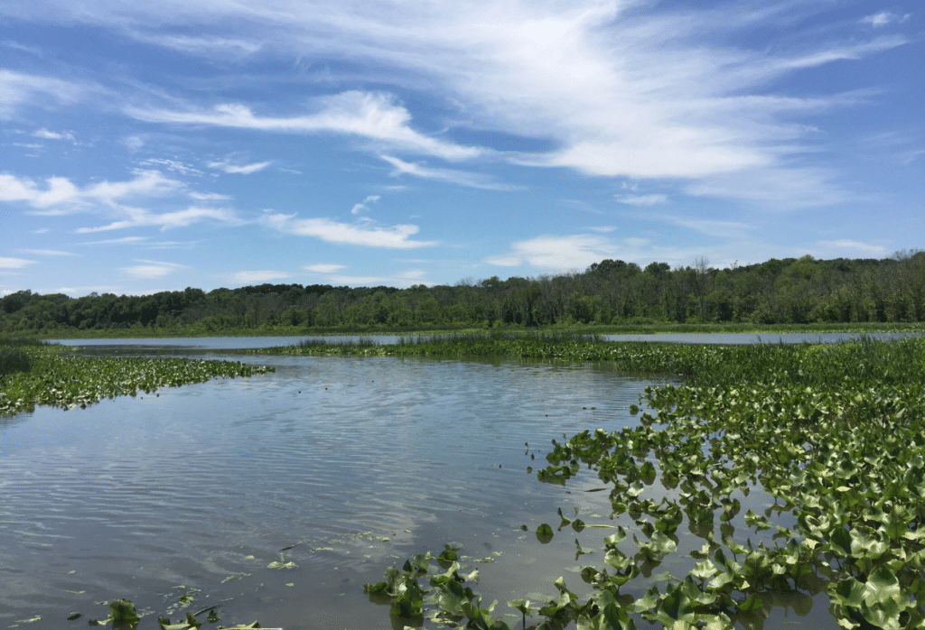 ug Bay Wetlands Sanctuary is a freshwater tidal wetland in Lothian, Maryland, USA