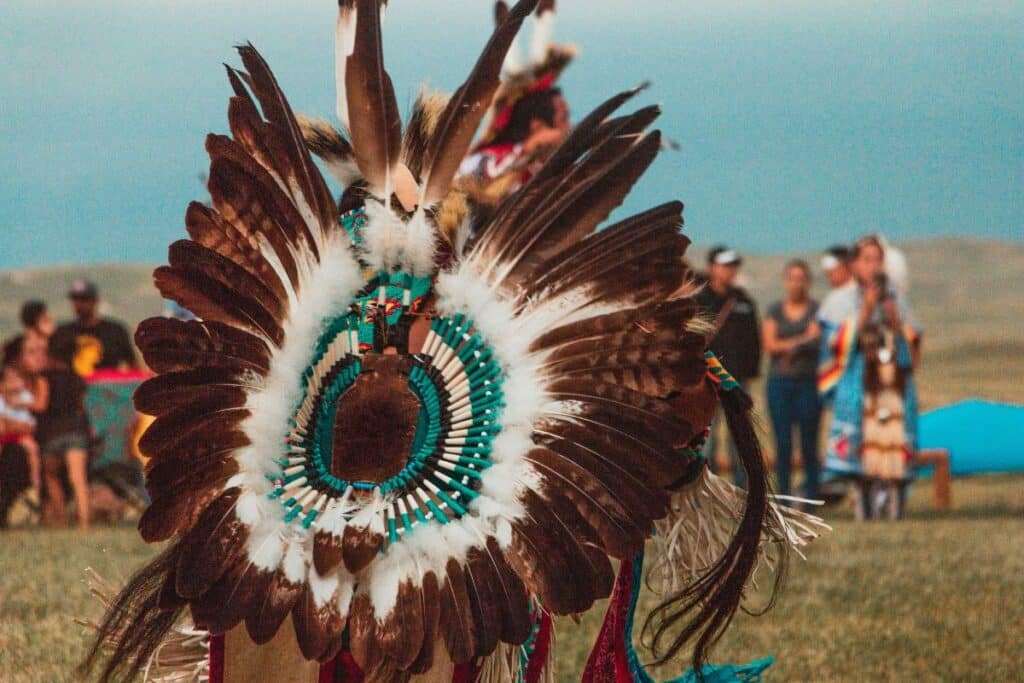 a headdress embellished with brown, white, and teal feathers